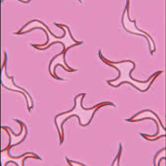 Meet your Posher, Charlie - Picture 1 of 1